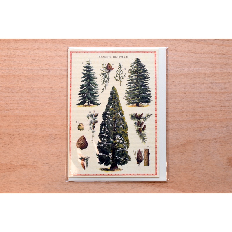 Christmas Trees Greeting Card