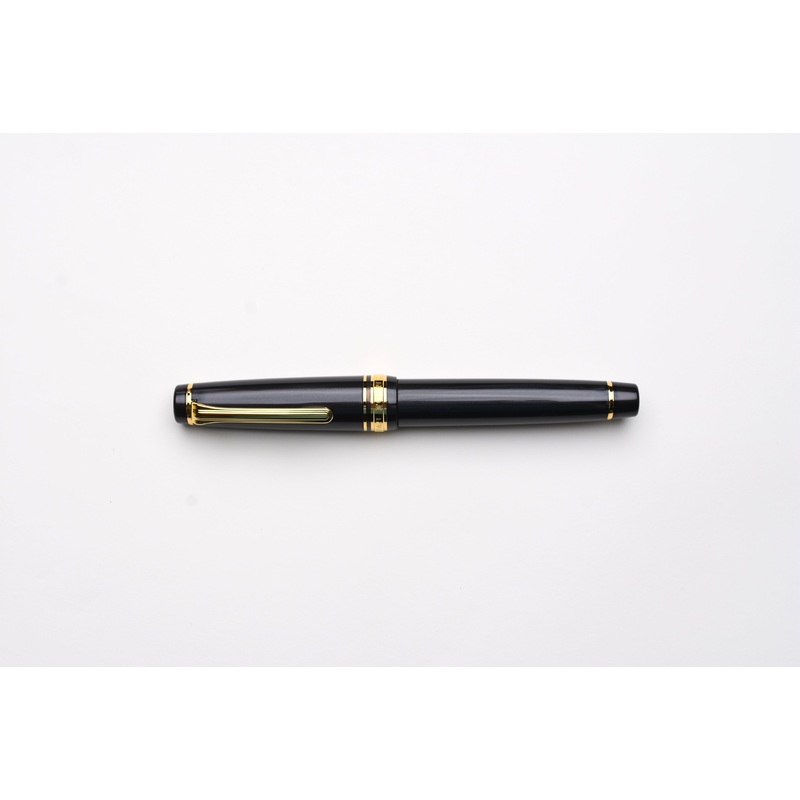 Sailor Pro Gear Fountain Pen – Knight to E4 Extra Fine
