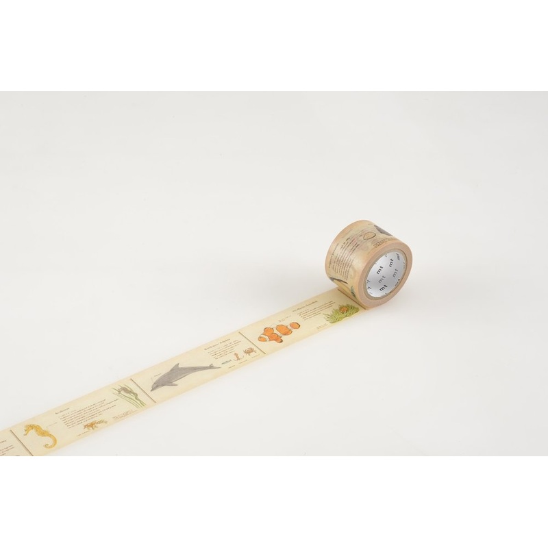MT Washi Tape – Encyclopedia / Marine Creature