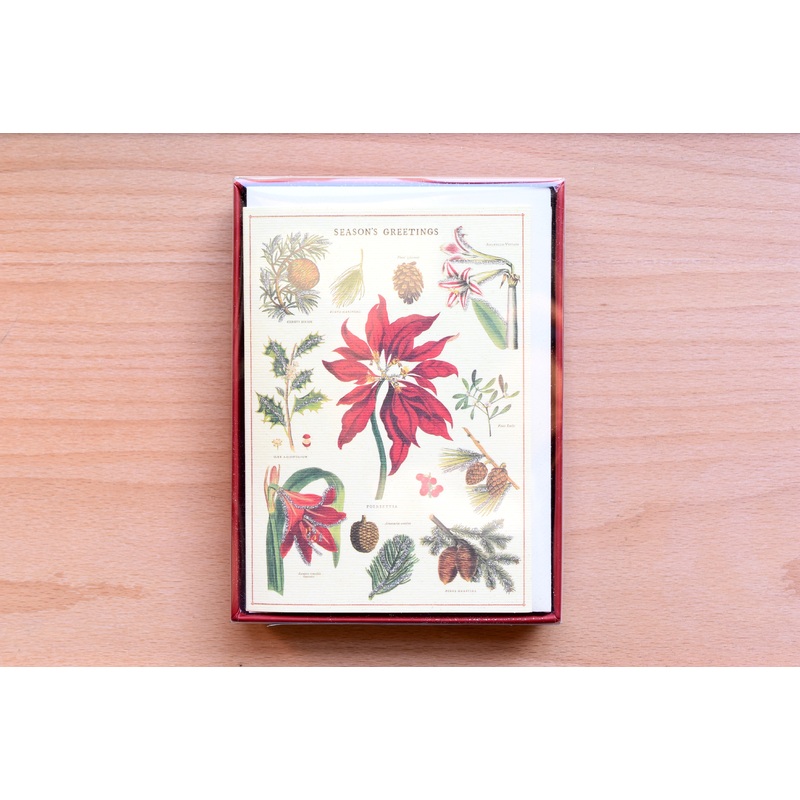 Christmas Botanica Boxed Notes
