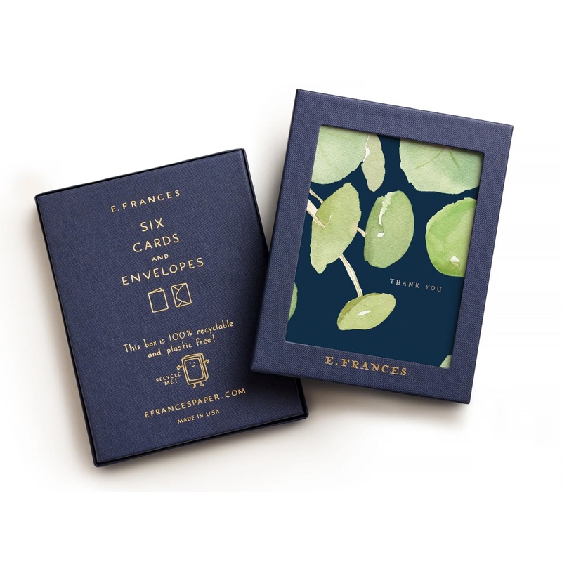 Pancake Plant Thank You Cards Box of 6