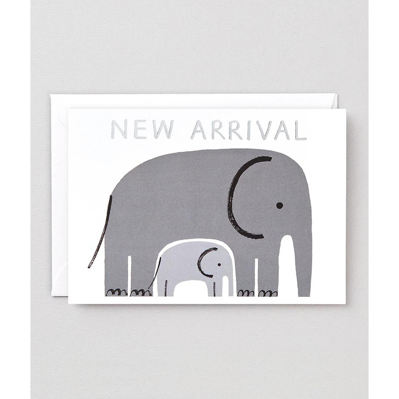 New Arrival Elephants