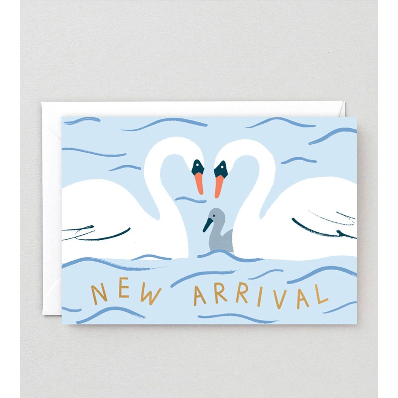 New Arrival Swans