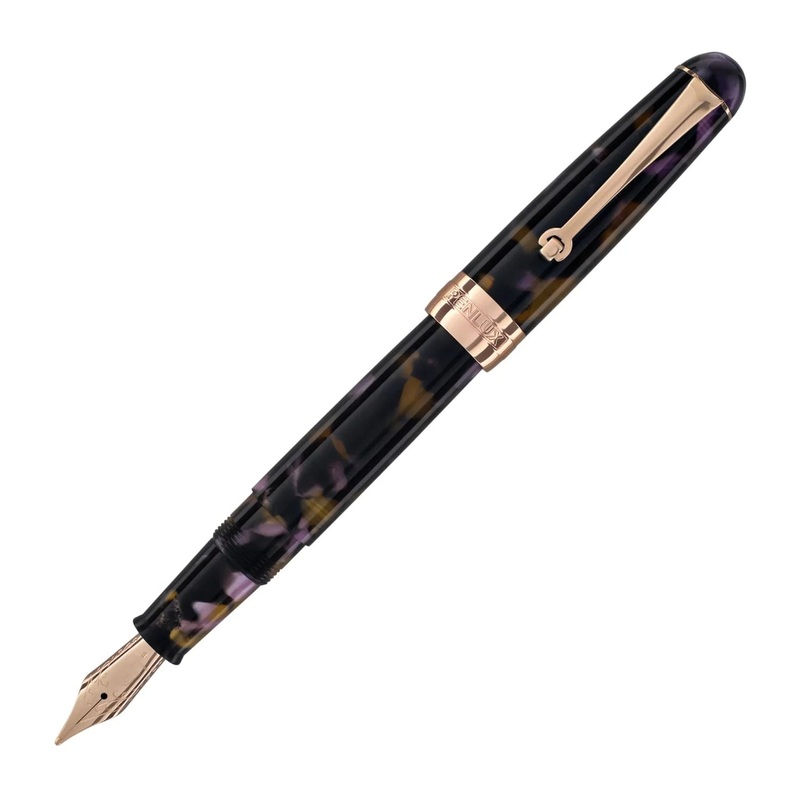 Penlux Masterpiece Delgado Fountain Pen – Euploea Fine