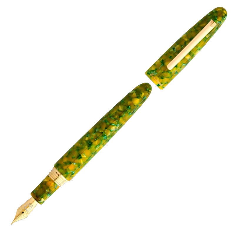 Esterbrook Rainforest LE – Fountain Pen Stainless Steel Extra Fine